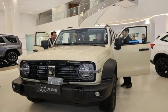 董少鹏：中国新一轮牛市不会中断  第1张