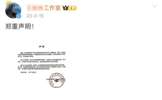 知名女星前夫资产被拍卖,涉案13.9亿! 第2张 知名女星前夫资产被拍卖,涉案13.9亿! 第2张