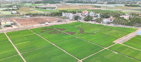 工行深耕“五篇大文章” 绘就海南自贸港高质量发展新画卷 第3张 工行深耕“五篇大文章” 绘就海南自贸港高质量发展新画卷 第3张