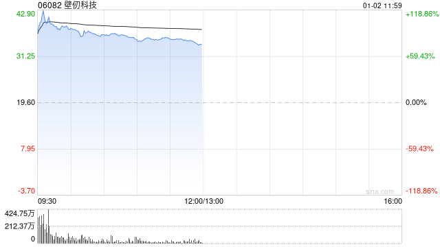 壁仞科技首挂上市 早盘上涨116.53%  第1张