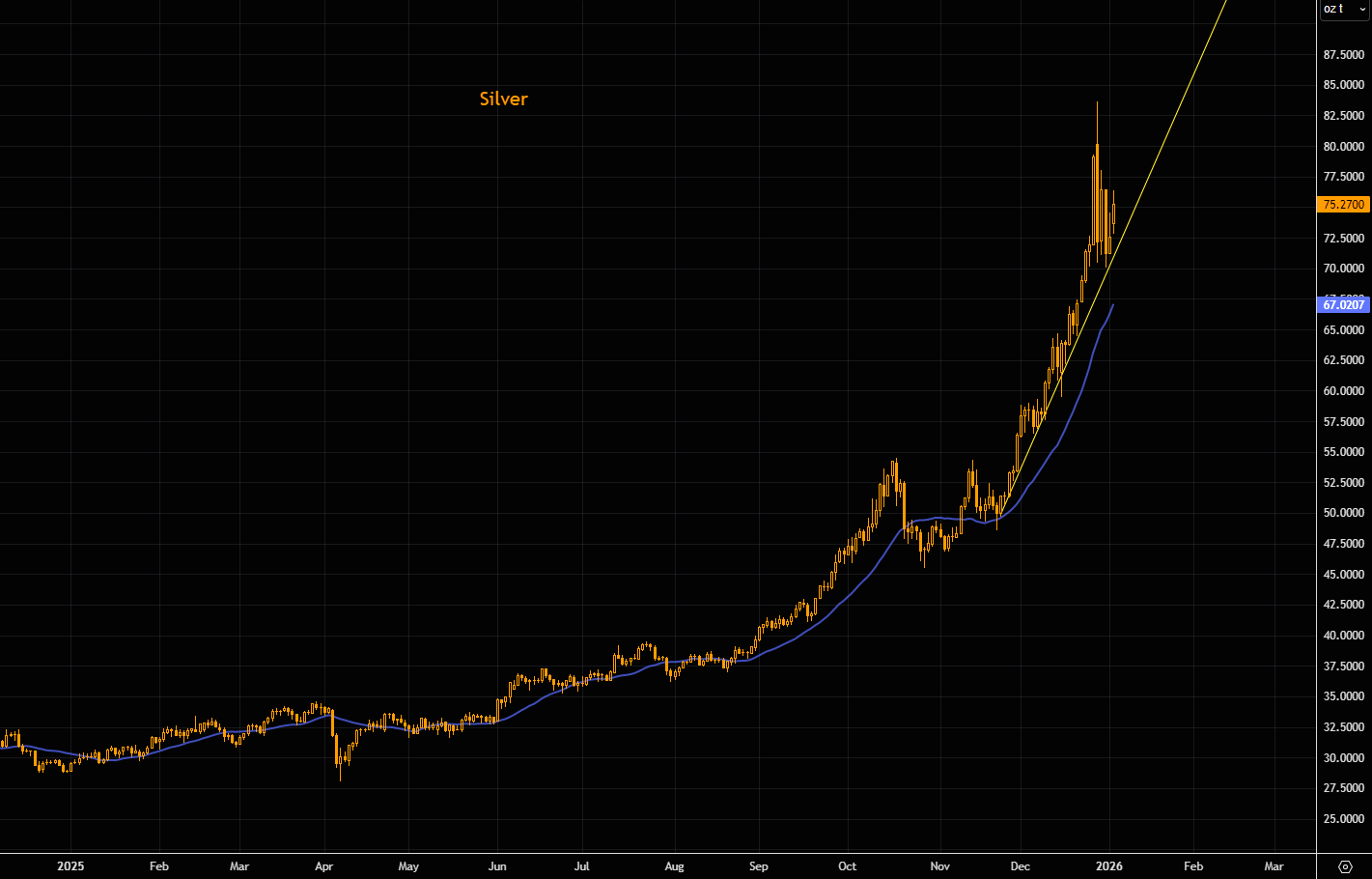 开年狂飙!2026金银牛市延续“暴力美学” 第8张 开年狂飙!2026金银牛市延续“暴力美学” 第8张
